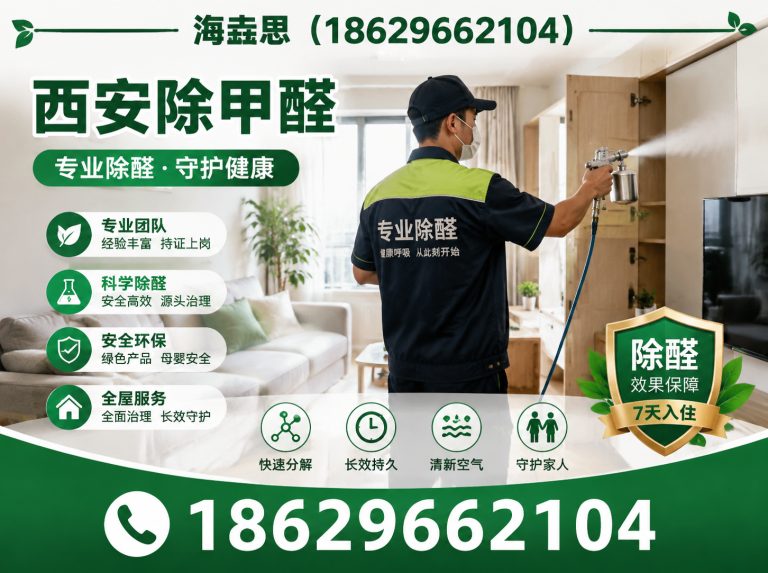 阎良区西安新车甲醛去除展示图